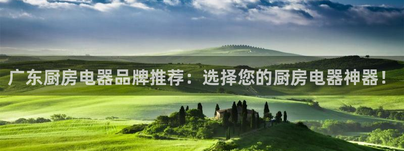 鸿运公司有哪些平台