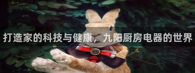 鸿运集团平台招聘信息