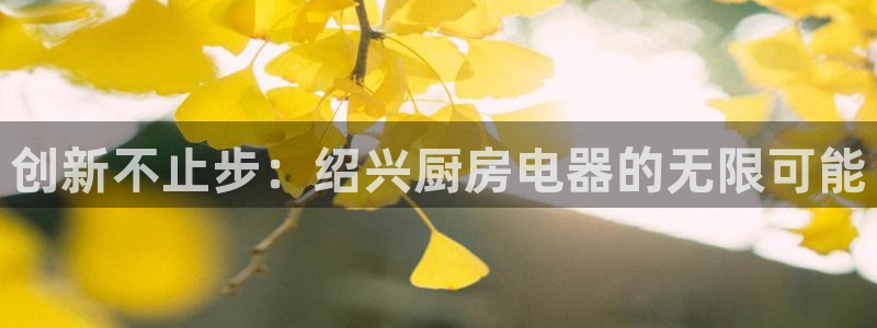 鸿运通宝平台