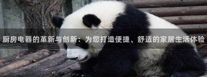 鸿运国际黑平台