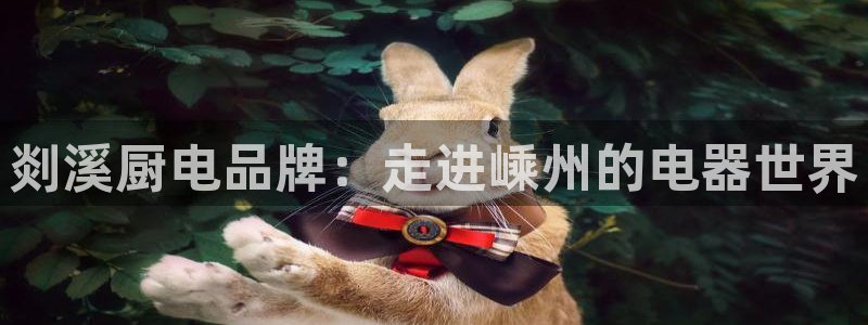 鸿运代还平台