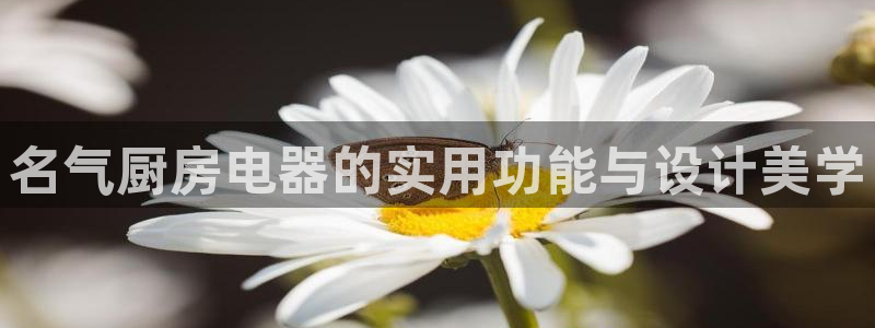 鸿运物流信息平台