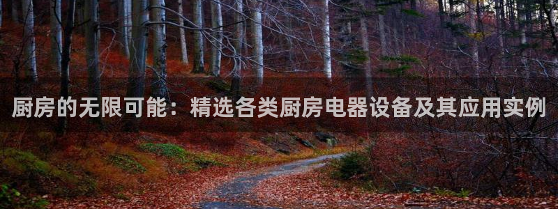 鸿运国际是什么游戏平台