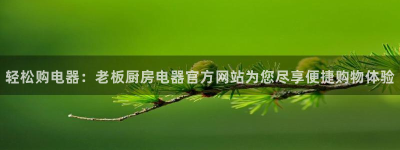 鸿运公司滴滴平台