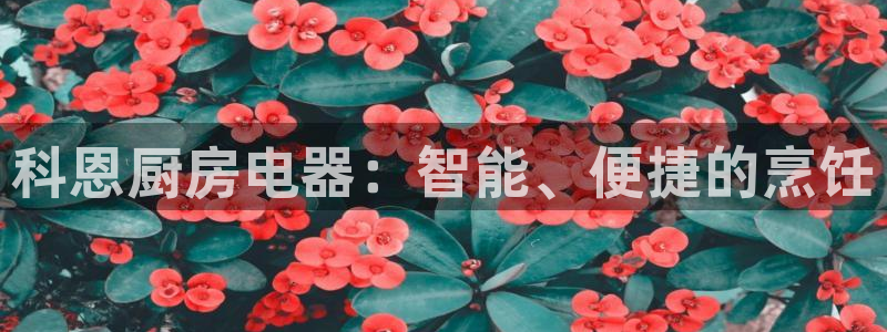鸿运平台投资诈骗事件