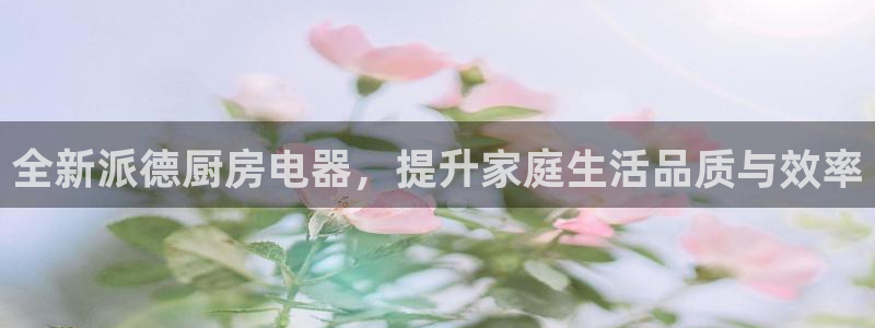 鸿运满堂网上平台