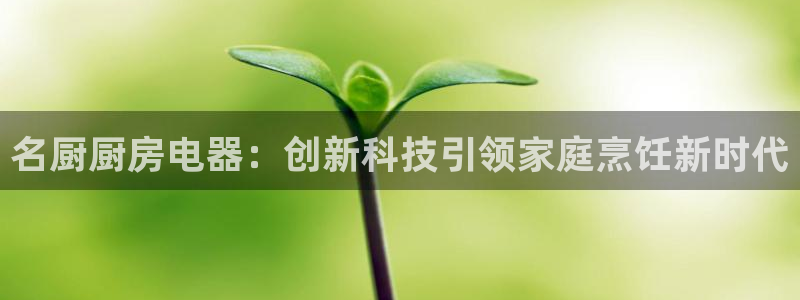 鸿运和拍拍卖平台
