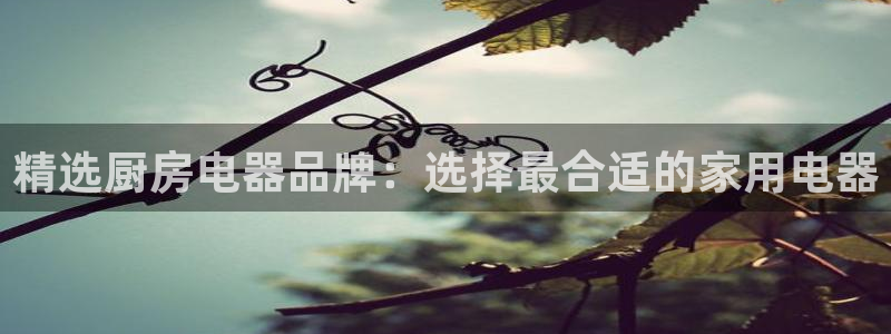 下载鸿运平台