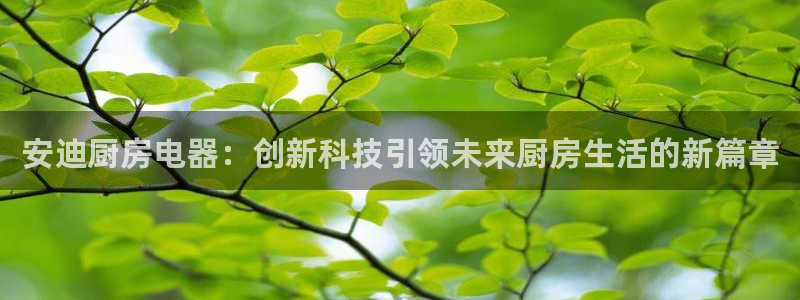 鸿运资本平台被骗