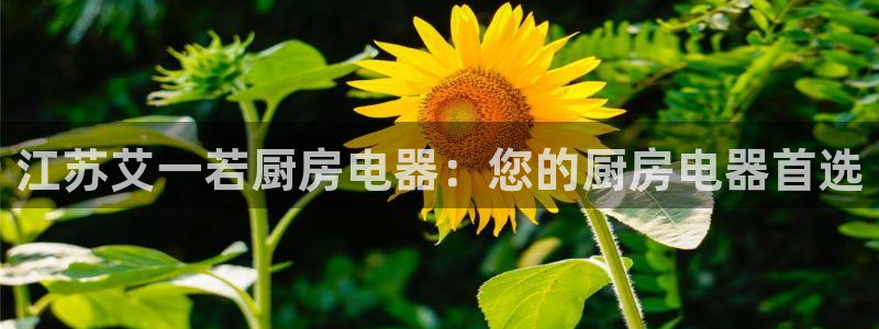 鸿运平台娱乐
