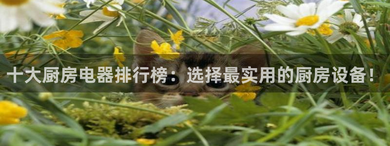 鸿运在线是什么平台