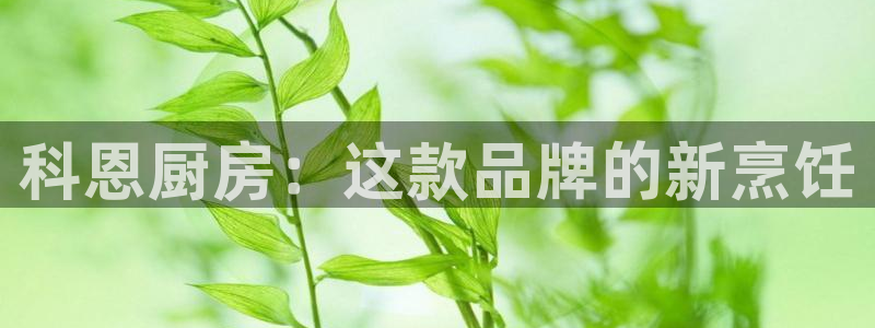 鸿运交易平台app