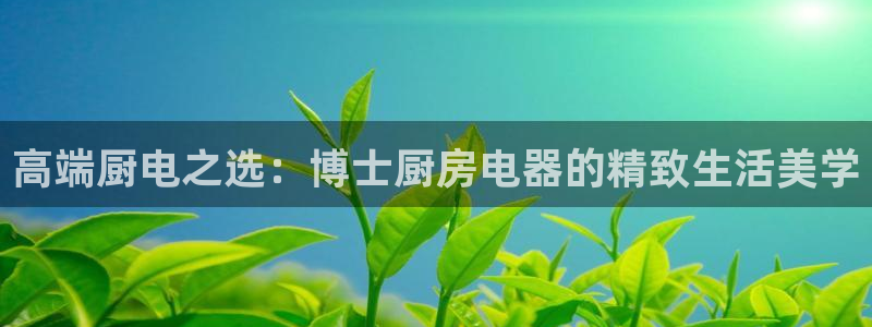 鸿运彩票平台带玩