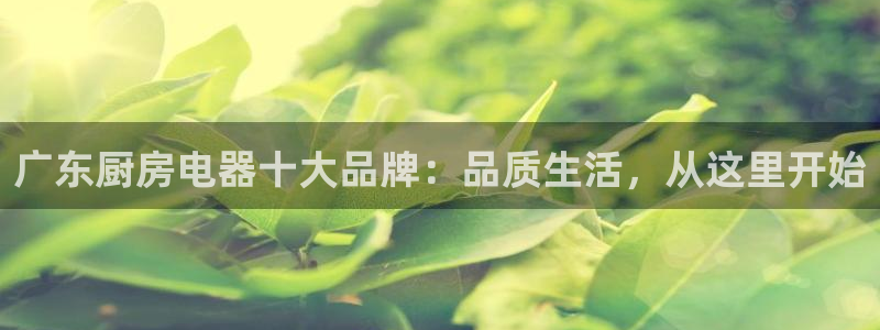 琥珀鸿运彩票平台