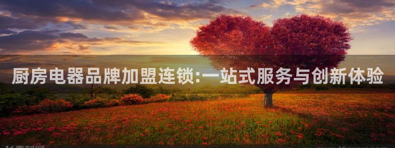东方鸿运购物平台
