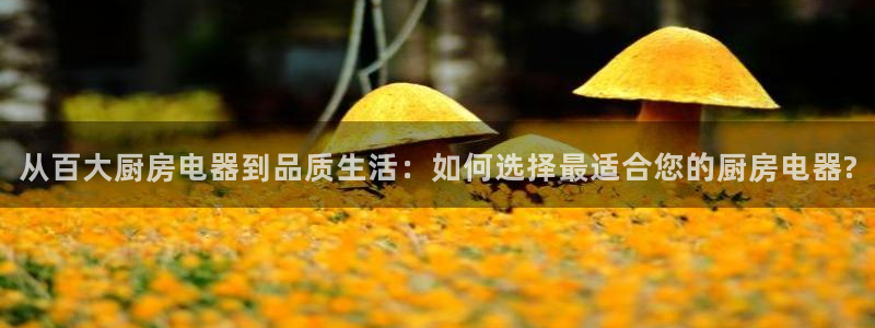 香港鸿运黑平台