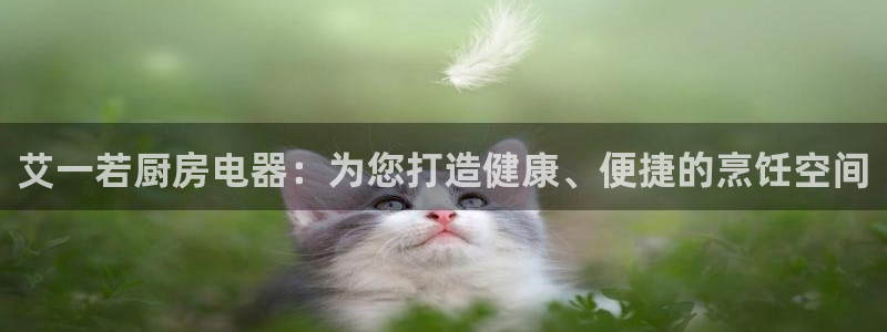 鸿运链锁管理平台