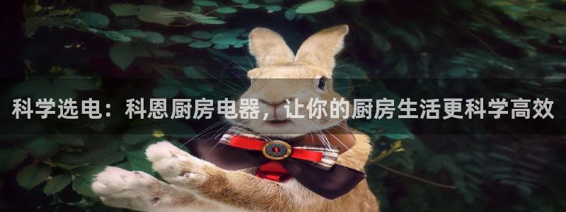 鸿运微交易平台