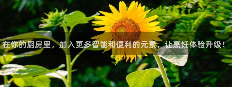 鸿运彩票网络平台下载