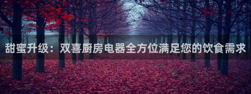 鸿运购是什么平台
