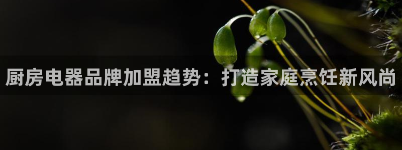 鸿运菜瞟平台