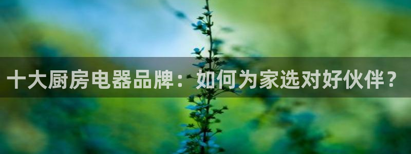 鸿运平台优惠